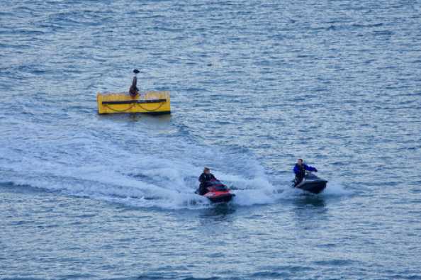 02 December 2020 - 15-18-58
We don't get all that many jet skis come into Dartmouth. And some even manage it without speeding.
------------------------------
Optically challenged Jet Skiers